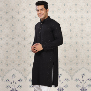 Ethnic Motifs Embroidered Sequinned Detail Mandarin Collar Straight Kurta